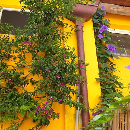 La Maison Jaune Sète Szoba fotó