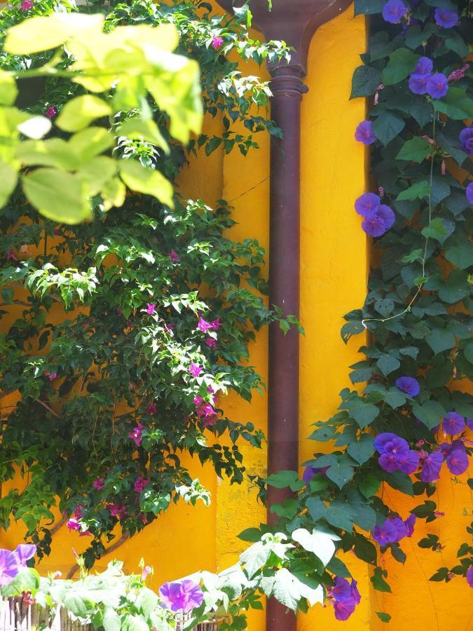 La Maison Jaune Sète Kültér fotó