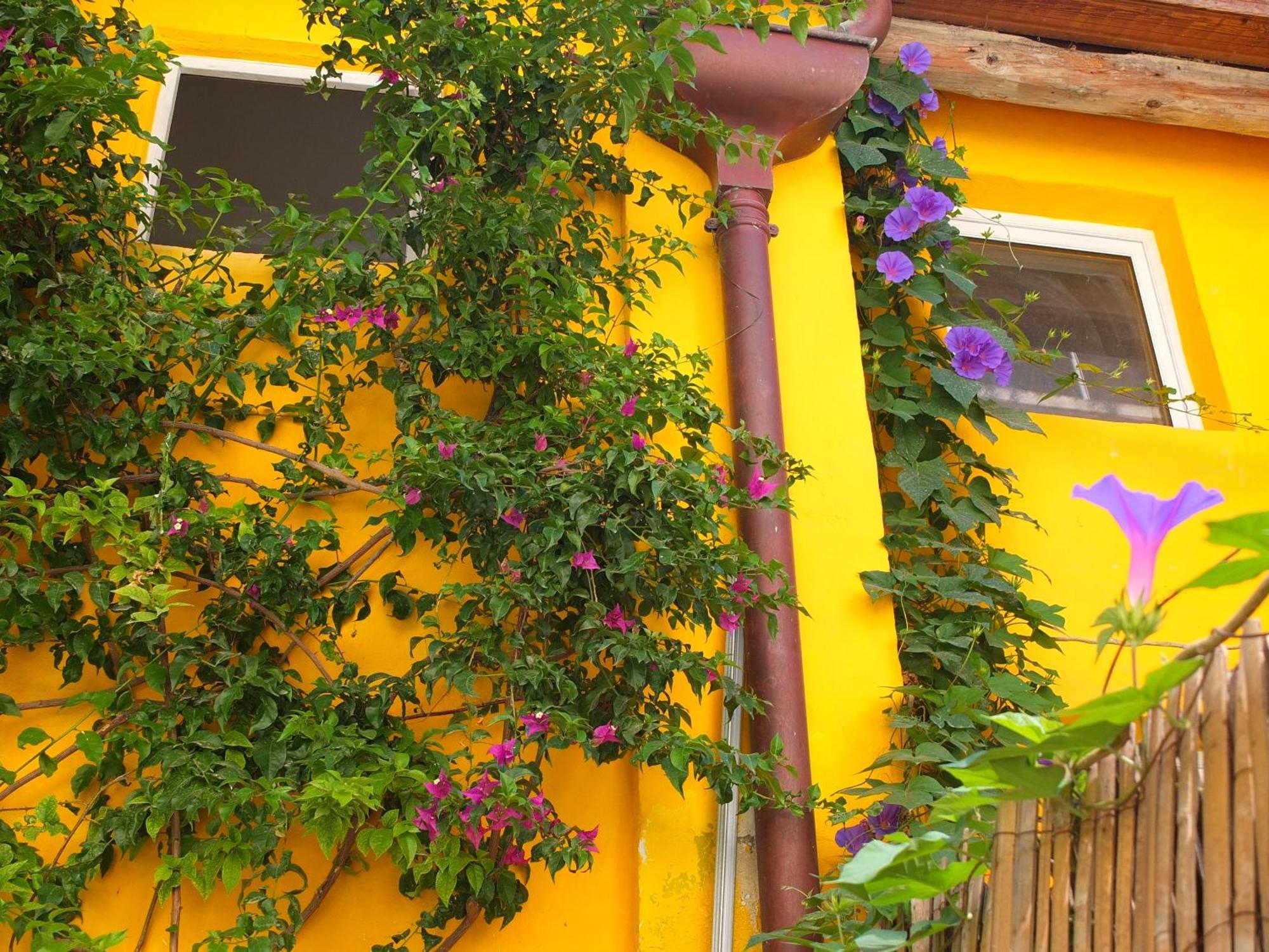 La Maison Jaune Sète Szoba fotó